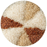 Rice1